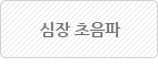 심장 초음파