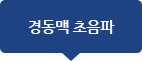 경동맥 초음파